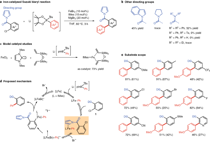 Iron-catalysed Suzuki biaryl couplings | Nature Catalysis