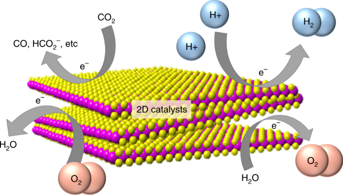Characteristics and performance of two-dimensional materials for 