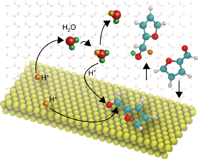 Solvent-mediated charge separation drives alternative hydrogenation path of furanics in liquid water