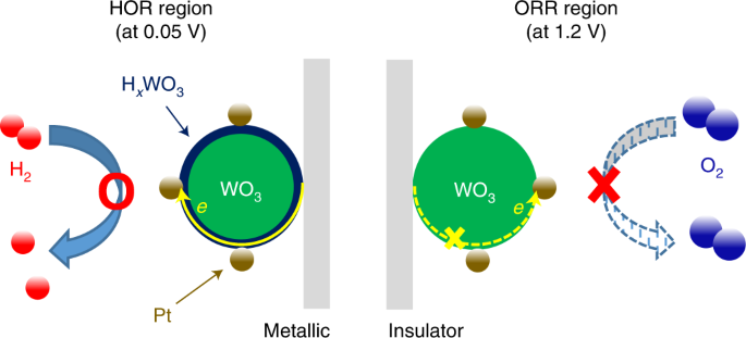 Selective electrocatalysis imparted by metal–insulator transition for durability enhancement of automotive fuel cells