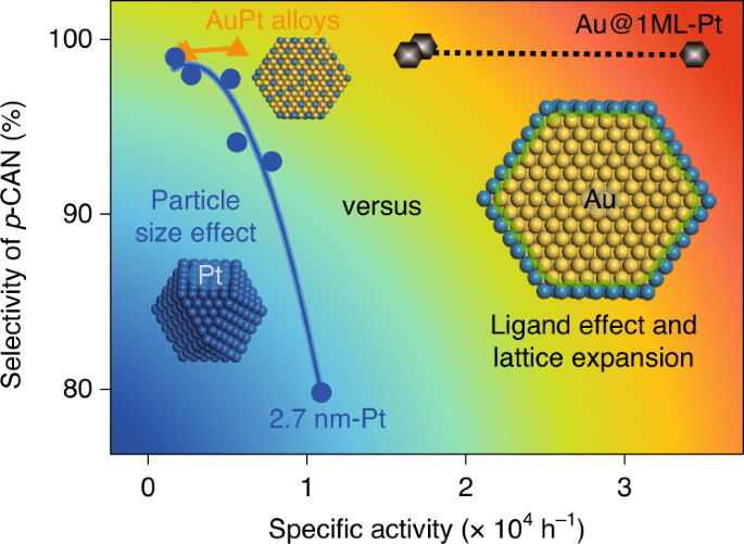 Bimetallic monolayer catalyst breaks the activity–selectivity trade-off on  metal particle size for efficient chemoselective hydrogenations