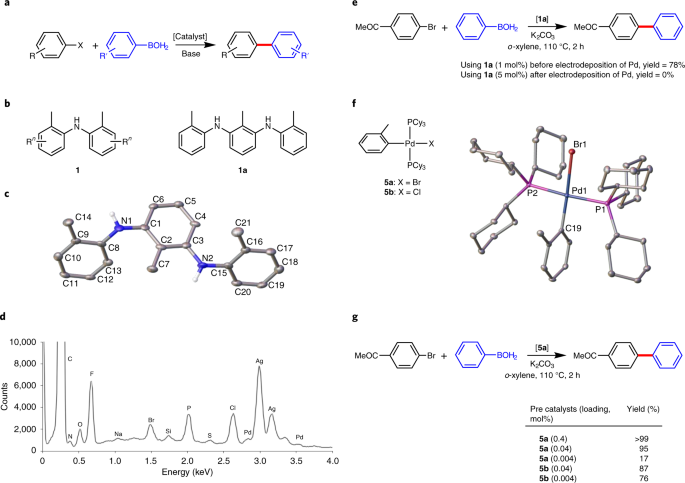 Identifying palladium culprits in amine catalysis