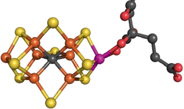 Core strength | Nature Catalysis