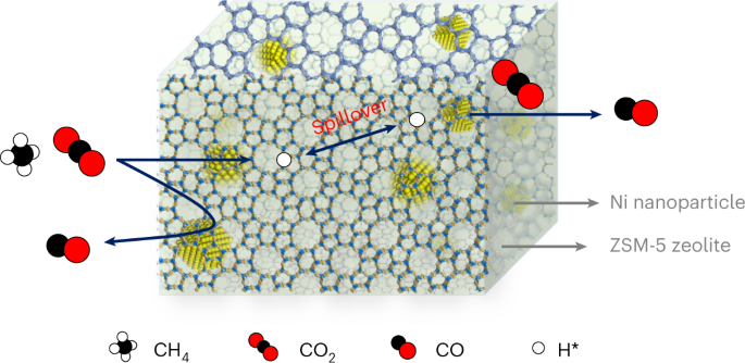 Understanding of tri-reforming of methane over Ni/Mg/Al