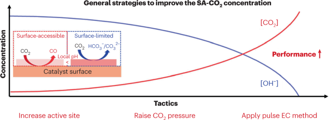 Rising to the surface | Nature Catalysis