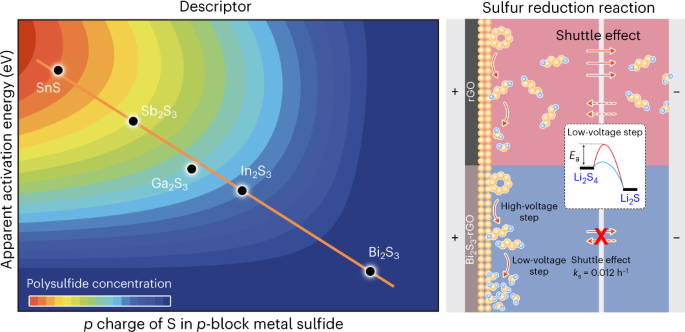 Optimizing the p charge of S in p-block metal sulfides for sulfur reduction  electrocatalysis