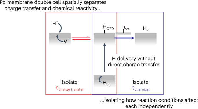 Reaction environment impacts charge transfer but not chemical 