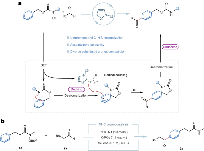 Organocatalytic acylation of remote arene c–h bonds