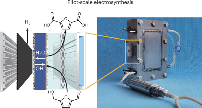 Advancements in Sustainable Plastics Production and Electrosynthesis Technologies
