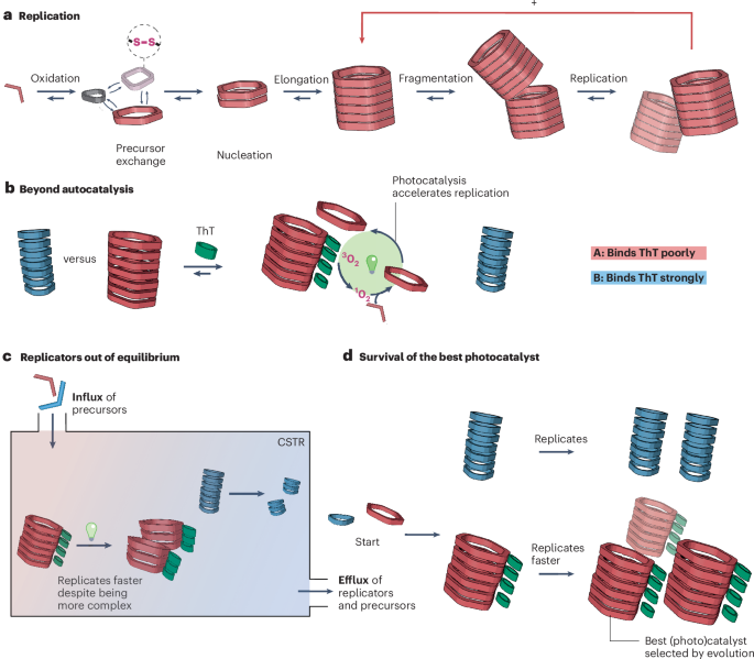 Catalyst optimization through synthetic Darwinian evolution | Nature ...