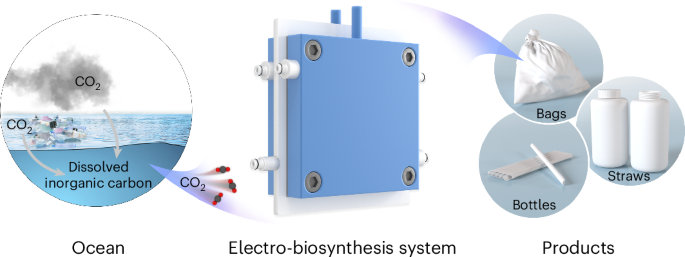 Efficient and scalable upcycling of oceanic carbon sources into bioplastic monomers - Nature Catalysis