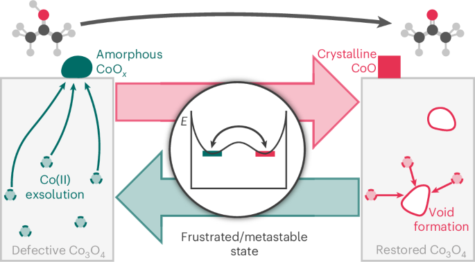 Local solid-state processes adjust the selectivity in catalytic oxidation reactions on cobalt oxides - Nature Catalysis