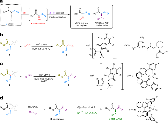 Synthesis of α,α-diheteroatomic carboxylic acids - Nature Catalysis