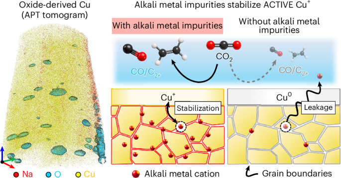 Alkali metal cation impurities stabilize Cu+ in oxide-derived copper for CO2 electrolysis