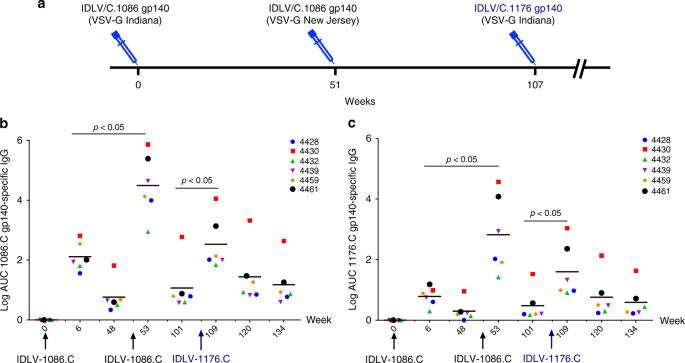 Idlv Hiv 1 Env Vaccination In Non Human Primates Induces Affinity Maturation Of Antigen Specific Memory B Cells Communications Biology