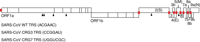 feature-image