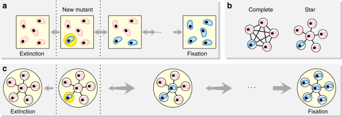 Population structure determines the tradeoff between fixation probability  and fixation time | Communications Biology