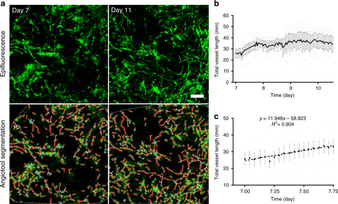 Multi Flow Channel Bioreactor Enables Real Time Monitoring