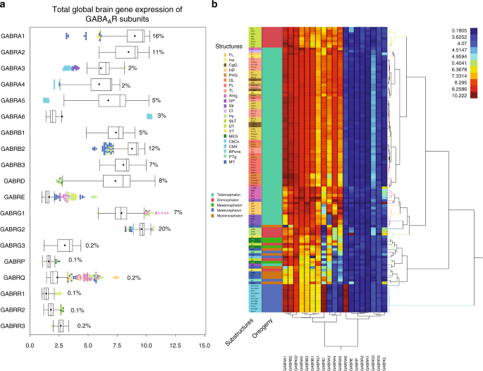 Human brain transcriptome analysis finds region- and subject-specific  expression signatures of GABAAR subunits | Communications Biology