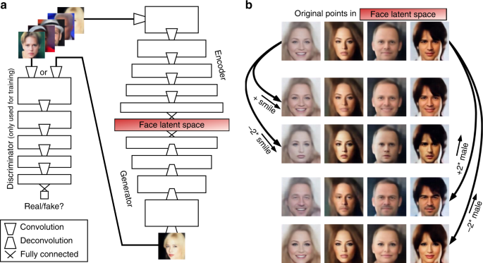 faces from patterns using deep generative neural networks | Communications Biology