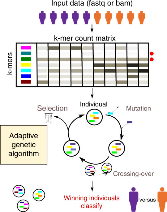 GECKO is a genetic algorithm to classify and explore high throughput  sequencing data | Communications Biology