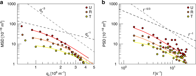 Hemoglobin S And C Affect Biomechanical Membrane Properties Of P Falciparum Infected Erythrocytes Communications Biology