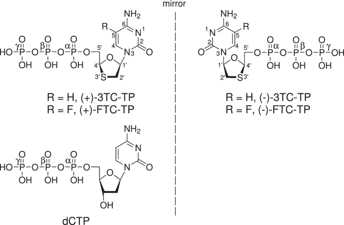 Elucidating Molecular Interactions Of L Nucleotides With Hiv 1 Reverse Transcriptase And Mechanism Of M184v Caused Drug Resistance Communications Biology