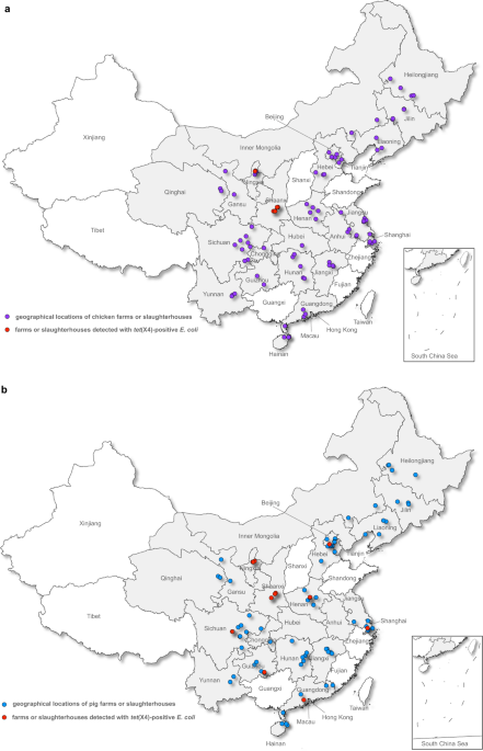 Genomic epidemiology of animal-derived tigecycline-resistant escherichia coli across china reveals recent endemic plasmid-encoded tet(x4) gene
