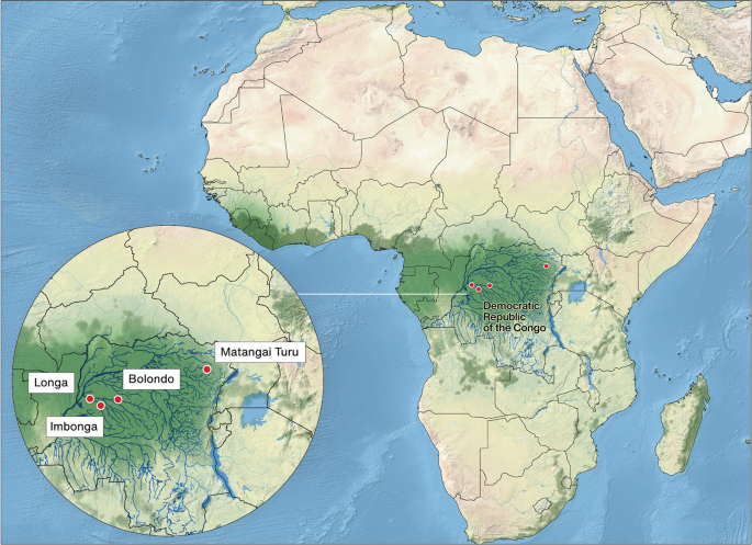 Selvas Forest In World Map Isotopic And Microbotanical Insights Into Iron Age Agricultural Reliance In  The Central African Rainforest | Communications Biology