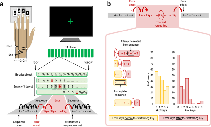Movement Errors During Skilled Motor Performance Engage Distinct Prediction Error Mechanisms Communications Biology Movement Errors During Skilled Motor Performance Engage Distinct Prediction Error Mechanisms Communications Biology