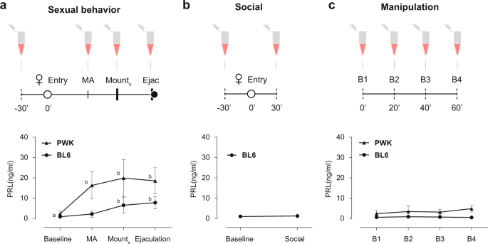 No evidence for prolactin’s involvement in the post-ejaculatory refractory period