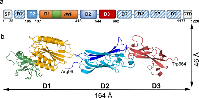 Porphyromonas Gingivalis Fimbrial Protein Mfa5 Contains A Von Willebrand Factor Domain And An Intramolecular Isopeptide Communications Biology