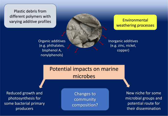 How Will Marine Plastic Pollution Affect Bacterial Primary Producers Communications Biology How Will Marine Plastic Pollution Affect Bacterial Primary Producers Communications Biology