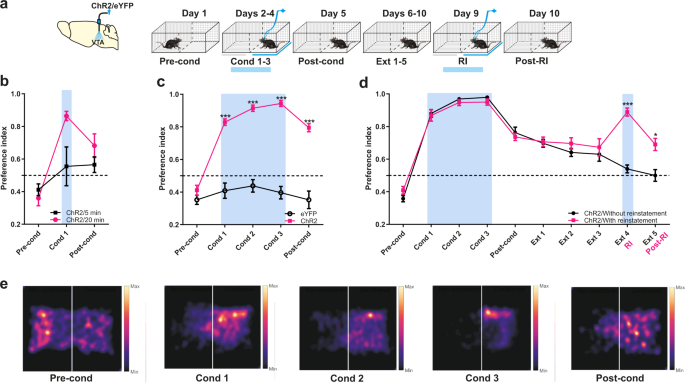 Basolateral amygdala activation enhances object recognition memory by  inhibiting anterior insular cortex activity