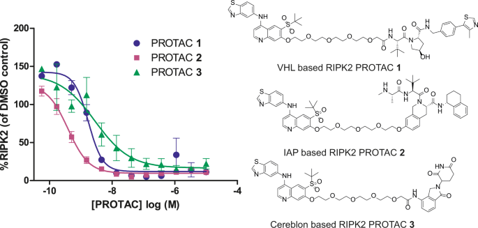 Extended Pharmacodynamic Responses Observed Upon Protac Mediated Degradation Of Ripk2 Communications Biology