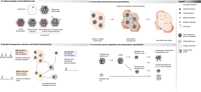 A systemic approach to assess the potential and risks of wildlife culling  for infectious disease control