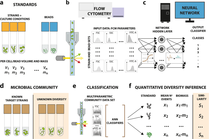 Rapid Detection Of Microbiota Cell Type Diversity Using Machine Learned Classification Of Flow Cytometry Data Communications Biology