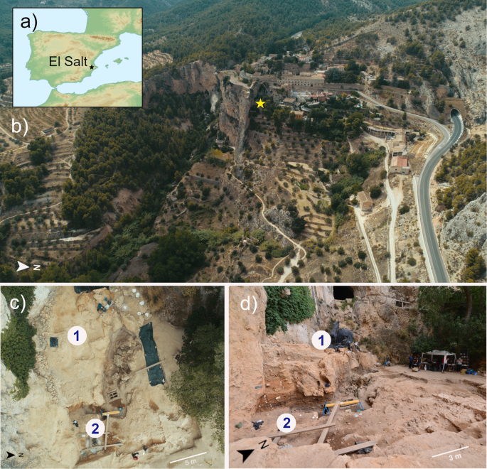 Components Of A Neanderthal Gut Microbiome Recovered From Fecal Sediments From El Salt Communications Biology Components Of A Neanderthal Gut Microbiome Recovered From Fecal Sediments From El Salt Communications Biology