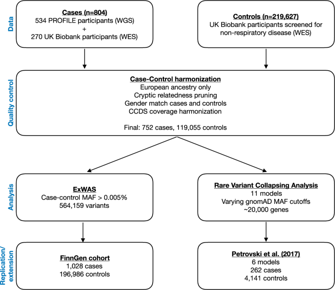 Identification Of A Missense Variant In Spdl1 Associated With Idiopathic Pulmonary Fibrosis Communications Biology