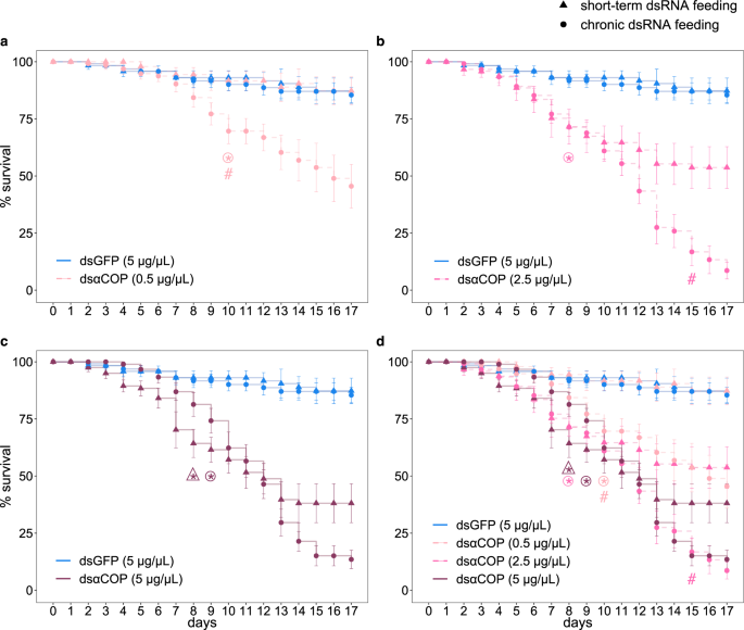 Rnai Efficacy Is Enhanced By Chronic Dsrna Feeding In Pollen Beetle Communications Biology