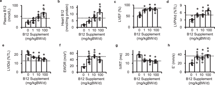 Cyanocobalamin prevents cardiomyopathy in type 1 diabetes by modulating oxidative stress and DNMT-SOCS1/3-IGF-1 signaling
