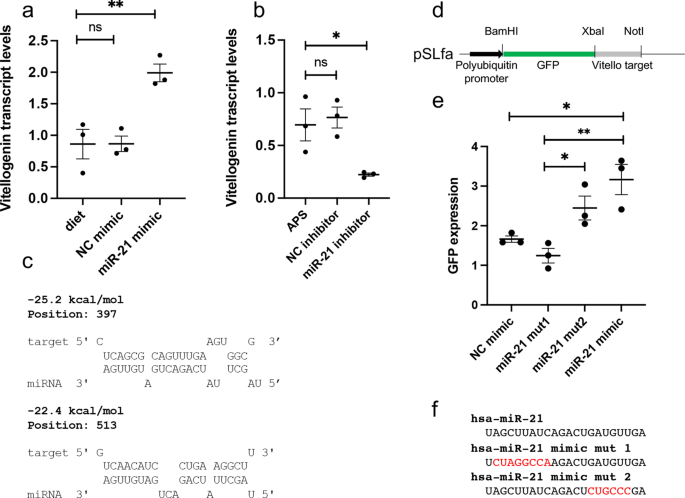 File:Anamnese und Einwilligung mRNA.pdf - Wikimedia Commons