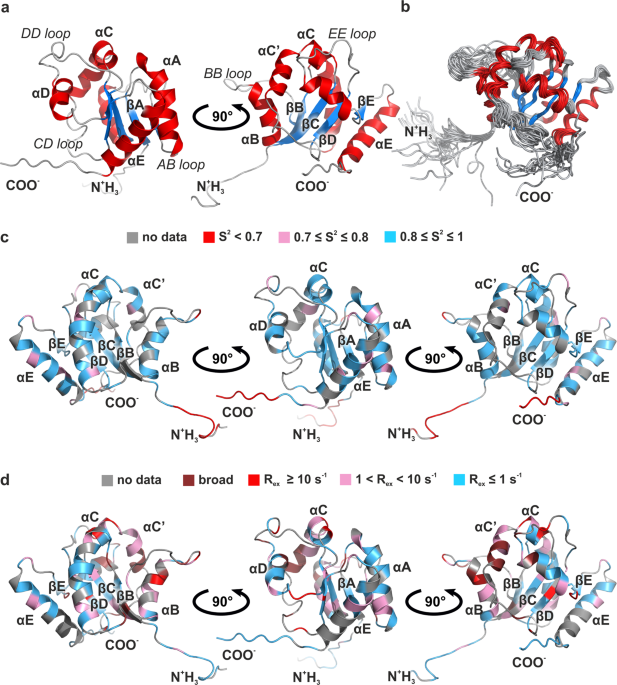 Giant Can't read or write die Modulation of Toll-like receptor 1 intracellular domain structure and  activity by Zn2+ ions | Communications Biology
