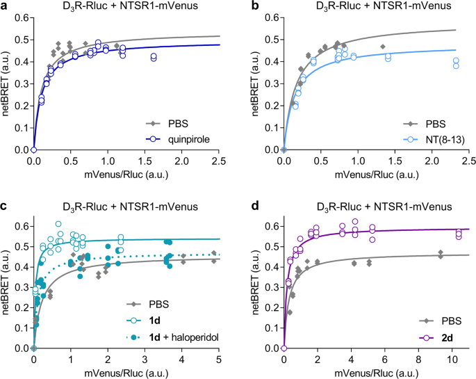 Homobivalent Dopamine D2 Receptor Ligands Modulate the Dynamic Equilibrium  of D2 Monomers and Homo- and Heterodimers