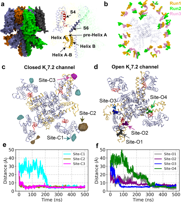 Pip2 Dependent Coupling Of Voltage Sensor And Pore Domains In Kv7 2 Channel Communications Biology