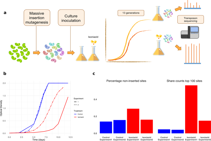 Can you build a tolerance to chloroform