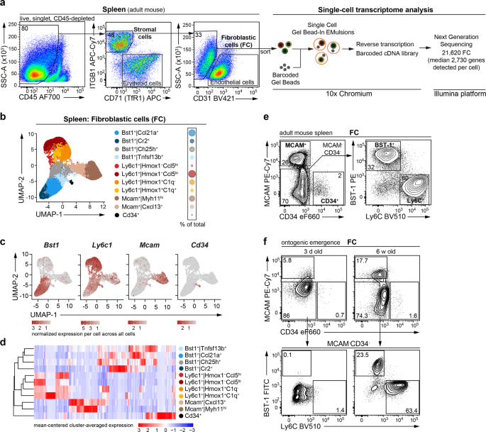 Frontiers  Splenic protection network revealed by transcriptome