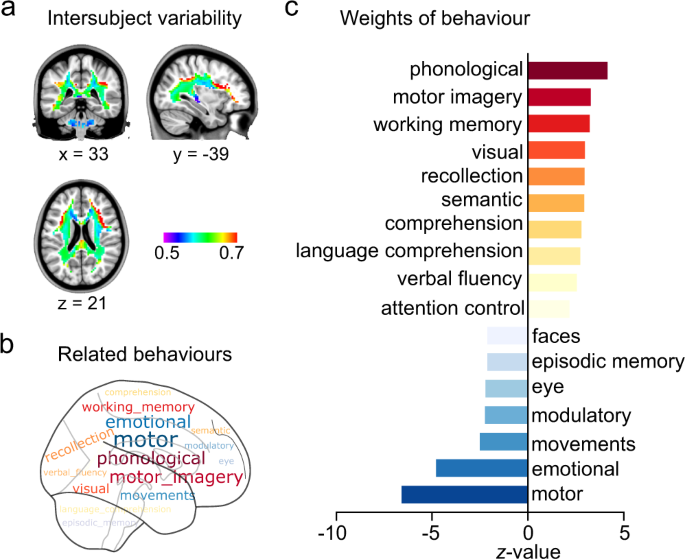 Distribution of intersubject variability in the masked