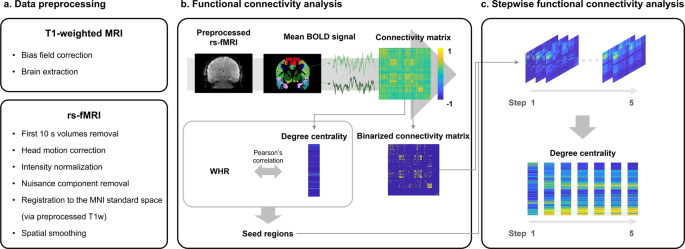 Disrupted Stepwise Functional Brain Organization In Overweight Individuals Communications Biology