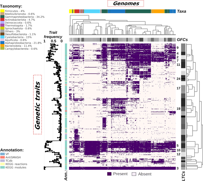 A comparative whole-genome approach identifies bacterial traits for marine microbial interactions